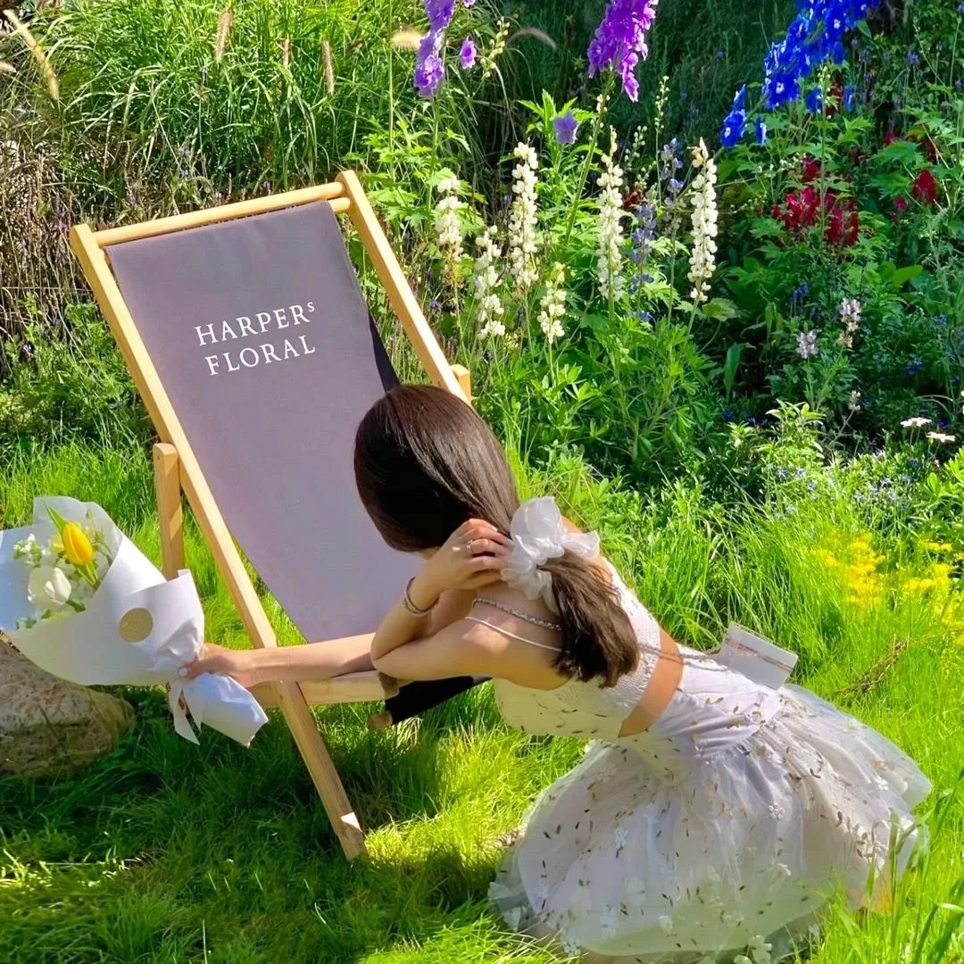 愿江海一直向上流